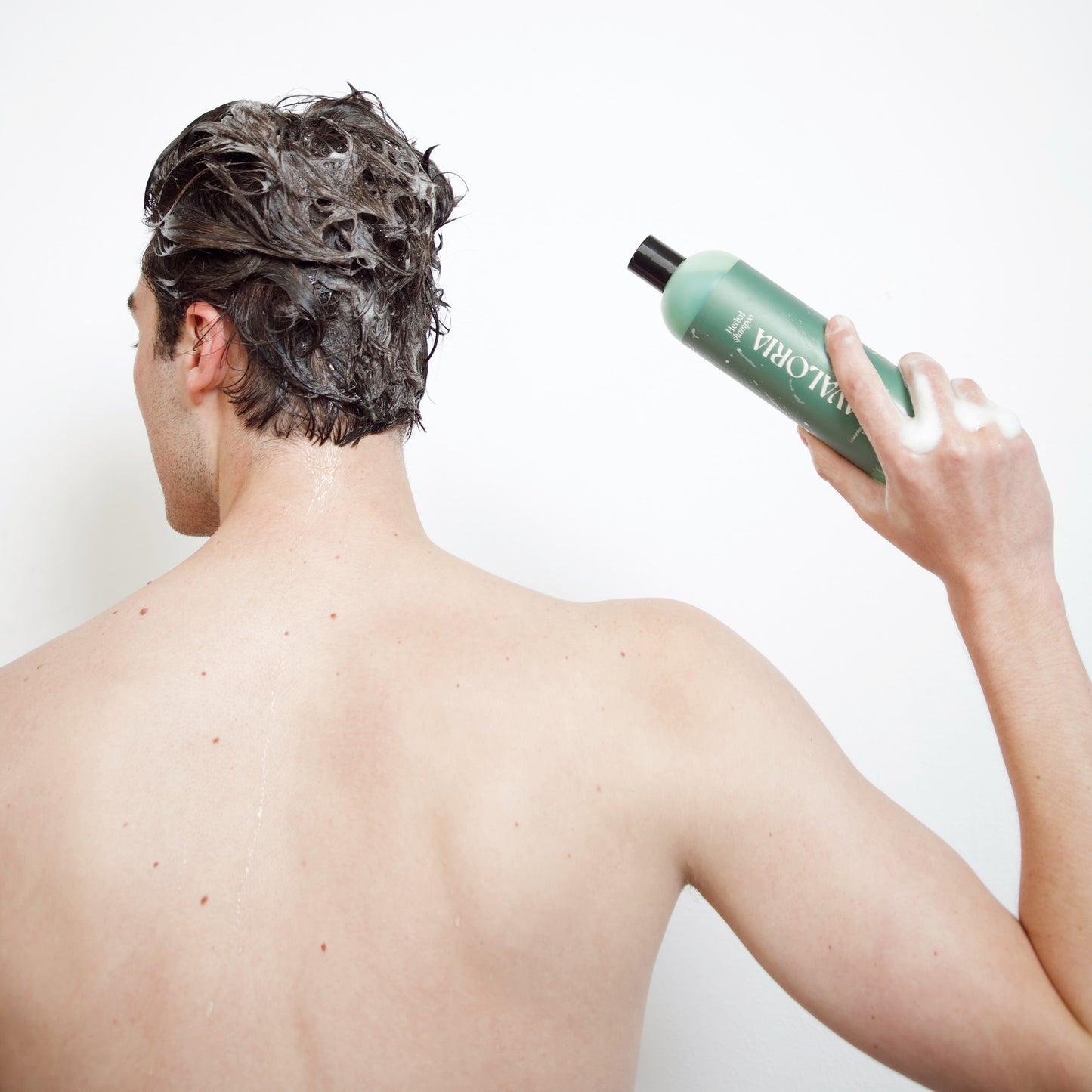 Kit herbal revitalizante | Shampoo | Gel