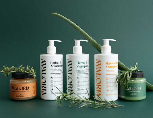 Shampoo botánico: qué es y cómo elegirlo bien