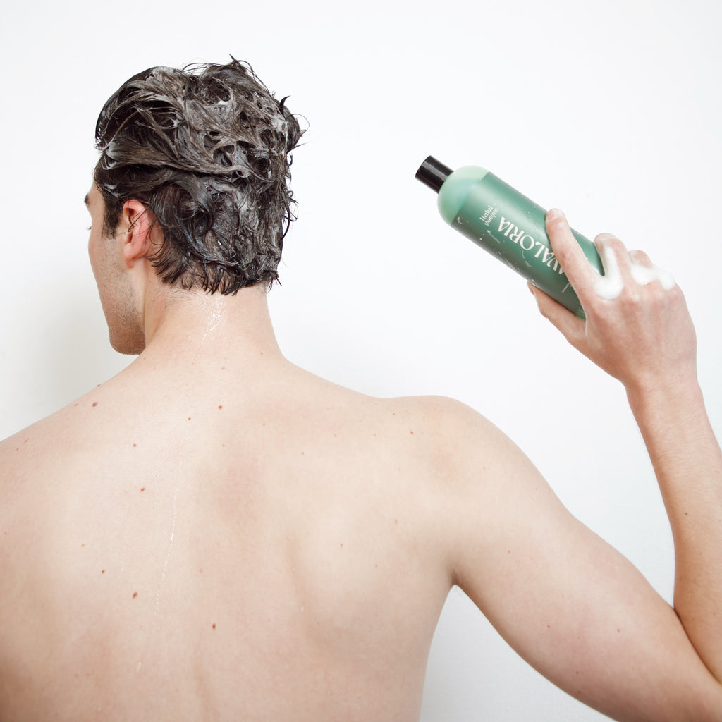 Kit herbal revitalizante | Shampoo | Gel