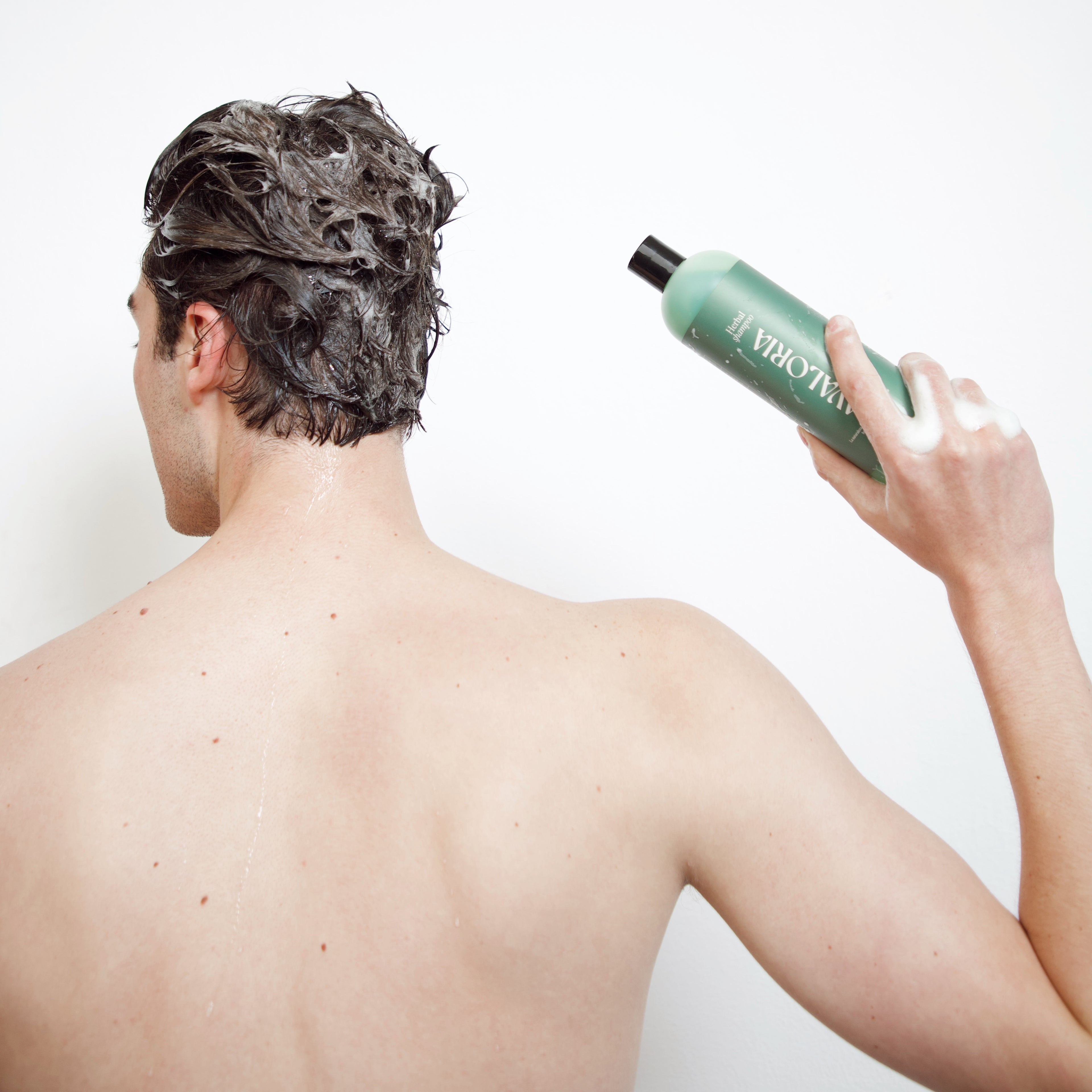 Kit herbal revitalizante | Shampoo | Gel