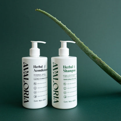 Kit Rutina Completa Herbal | Shampoo + Acondicionador + Gel (Nuevo producto)