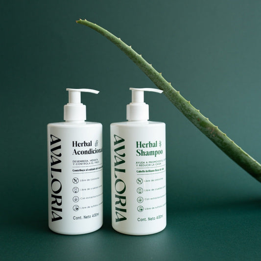 Kit Botánico Herbal | Shampoo + Acondicionador (Nuevo producto)