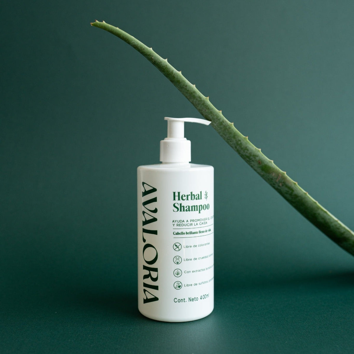Kit Rutina Completa Herbal | Shampoo + Acondicionador + Gel (Nuevo producto)