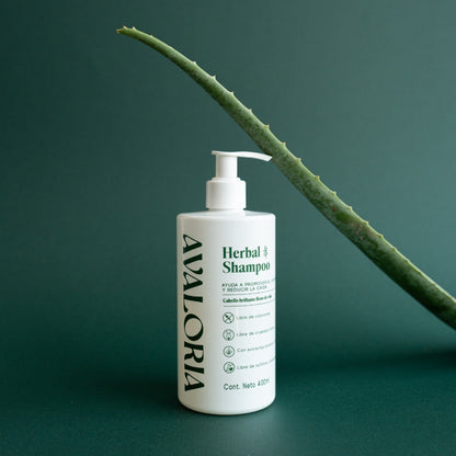 Kit Rutina Completa Herbal | Shampoo + Acondicionador + Gel (Nuevo producto)