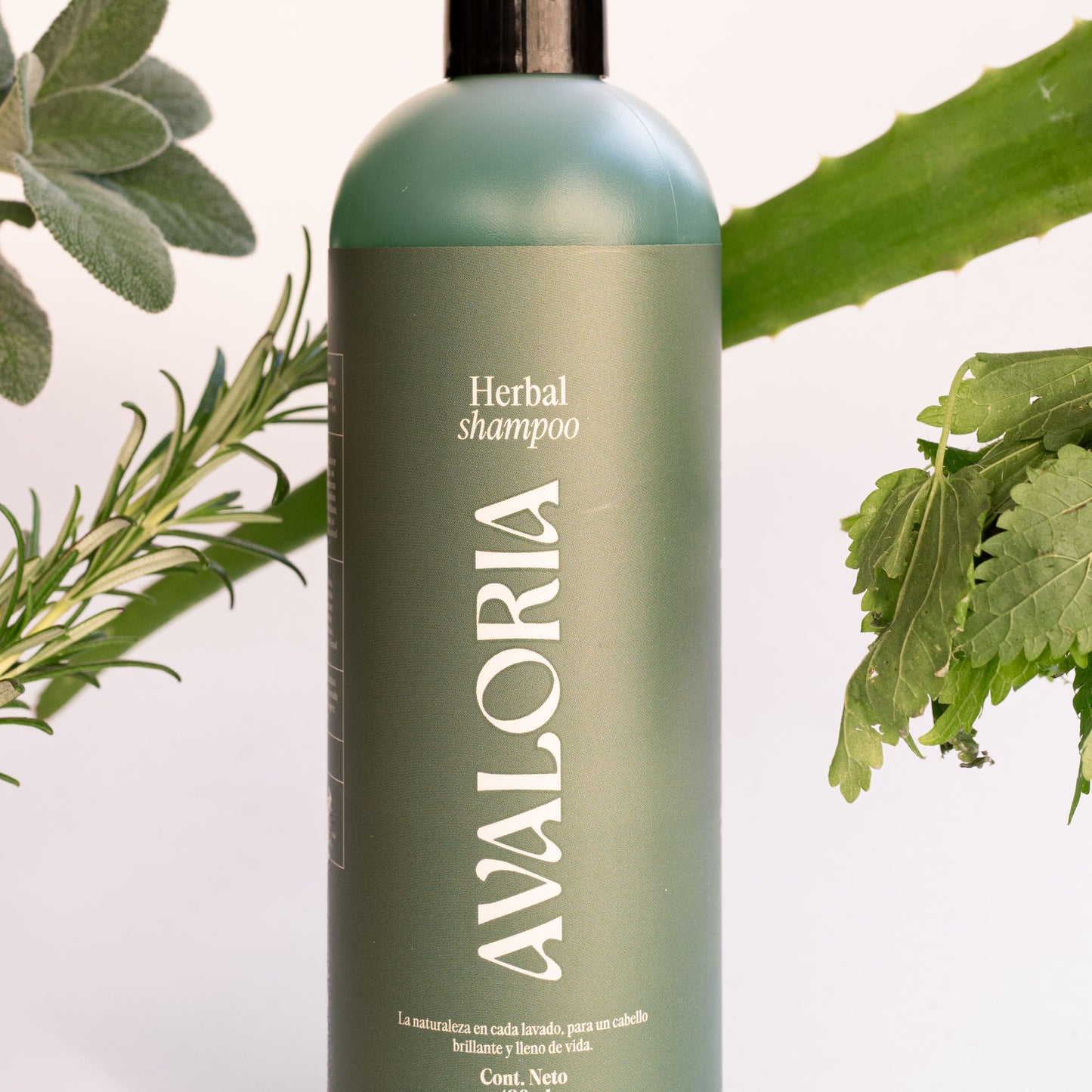 Shampoo Natural Herbal